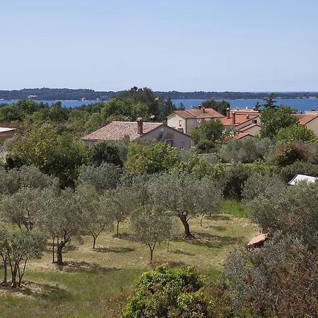 Apartman Mare Visum
